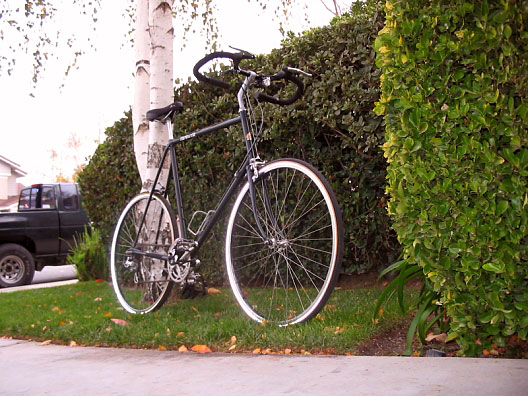 nashbar trekking bars